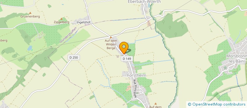 localisation de l'entreprise MONSIEUR BENJAMIN GEYER  FORSTHEIM