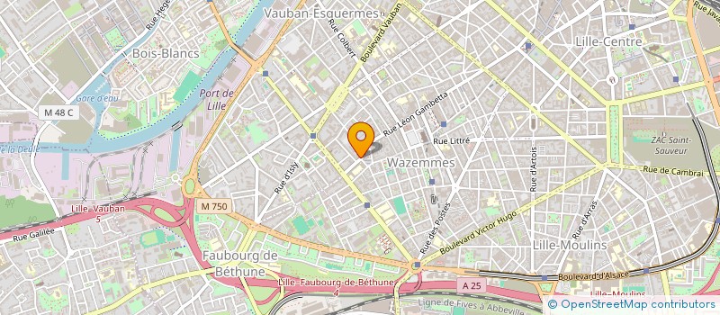 localisation de l'entreprise MONSIEUR BENJAMIN GOUSSET à LILLE