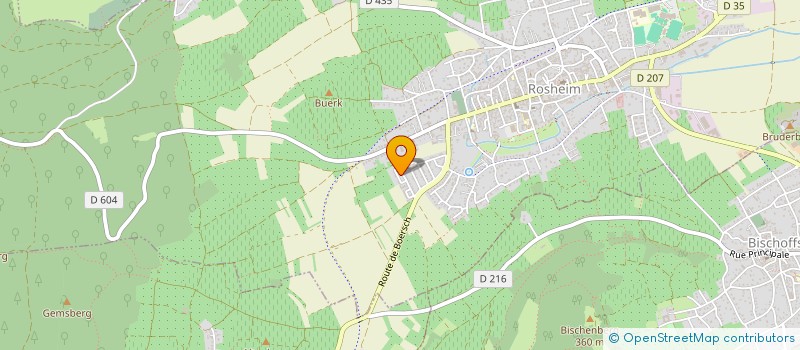 localisation de l'entreprise MONSIEUR BENJAMIN HAENSLER à ROSHEIM