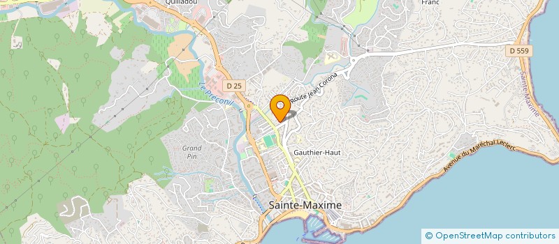localisation de l'entreprise MONSIEUR BENJAMIN HERMENEGILDO à SAINTE-MAXIME