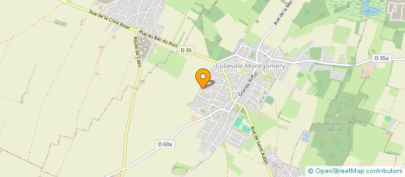 localisation de l'entreprise MONSIEUR BENJAMIN JOUAN  COLLEVILLE-MONTGOMERY