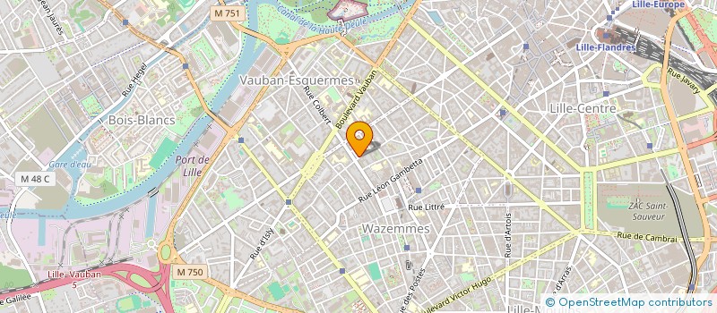 localisation de l'entreprise MONSIEUR BENJAMIN LELEU à LILLE