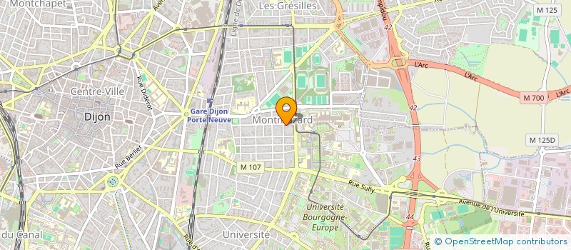 localisation de l'entreprise MONSIEUR BENJAMIN LUO à DIJON