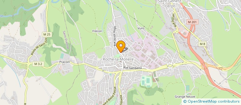 localisation de l'entreprise MONSIEUR BENJAMIN MARLIER  ROCHE-LA-MOLIERE