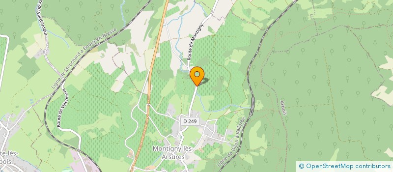 localisation de l'entreprise MONSIEUR BENJAMIN MOUGIN  MONTIGNY-LES-ARSURES