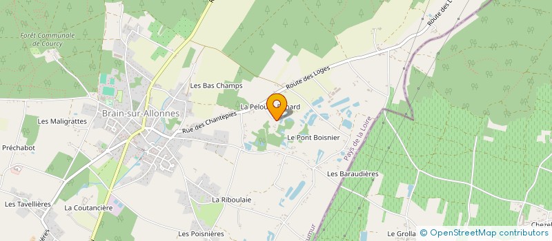 localisation de l'entreprise MONSIEUR BENJAMIN RADIGUET  BRAIN-SUR-ALLONNES