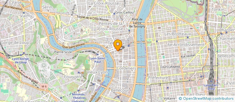 localisation de l'entreprise MONSIEUR BENJAMIN RIBOT à LYON