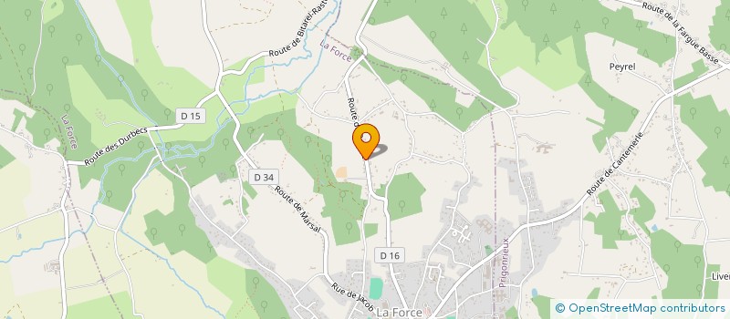 localisation de l'entreprise MONSIEUR BENJAMIN VADOT  LA FORCE