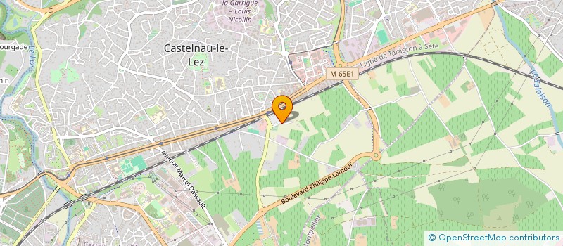 localisation de l'entreprise MONSIEUR BENJAMIN VIALA à CASTELNAU-LE-LEZ