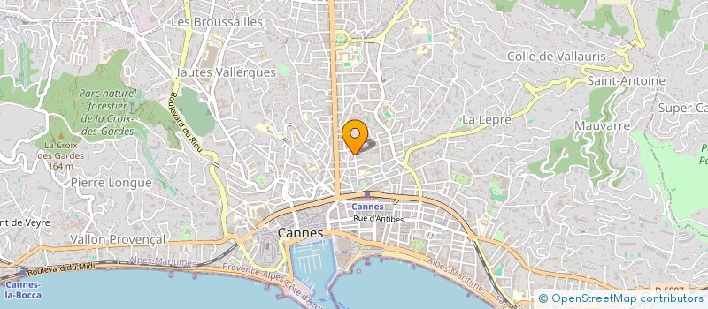 localisation de l'entreprise MONSIEUR BENJAMIN WILLIAM WILLSON à CANNES