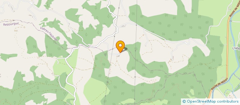 localisation de l'entreprise MONSIEUR BENOIT ASSIE  REBOURGUIL