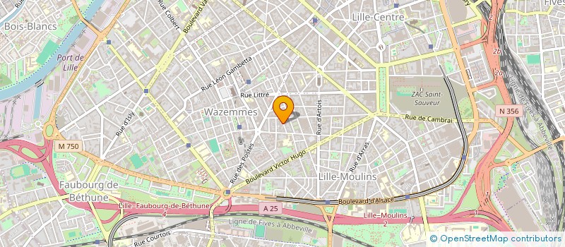 localisation de l'entreprise MONSIEUR BENOIT BALAGNY à LILLE