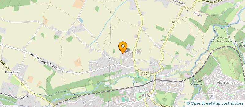 localisation de l'entreprise MONSIEUR BENOIT BONFILS  PIBRAC