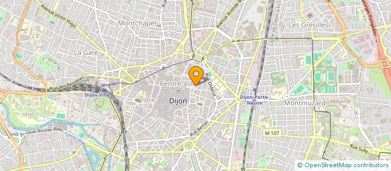 localisation de l'entreprise MONSIEUR BENOIT BORDAT à DIJON