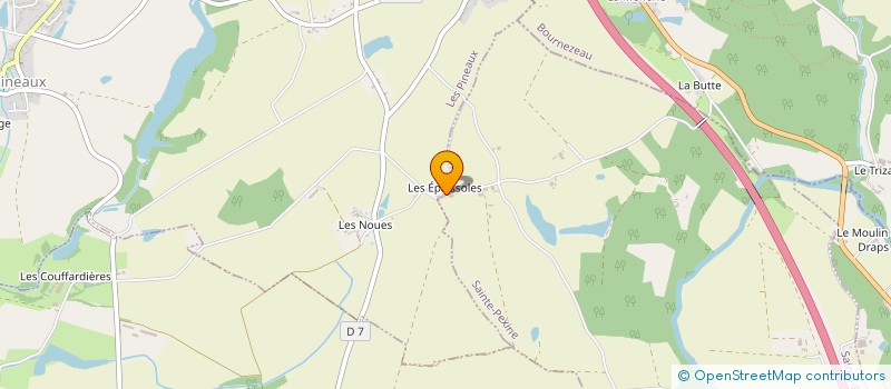 localisation de l'entreprise MONSIEUR BENOIT CARPENTIER  LES PINEAUX