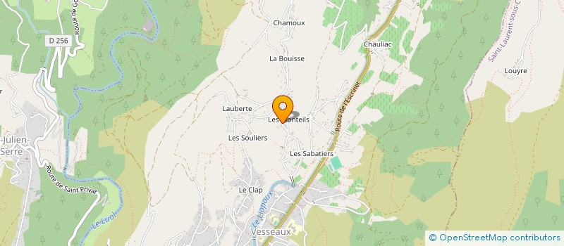 localisation de l'entreprise MONSIEUR BENOIT CHAMBON  VESSEAUX