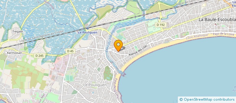 localisation de l'entreprise MONSIEUR BENOIT COLIN à LA BAULE-ESCOUBLAC