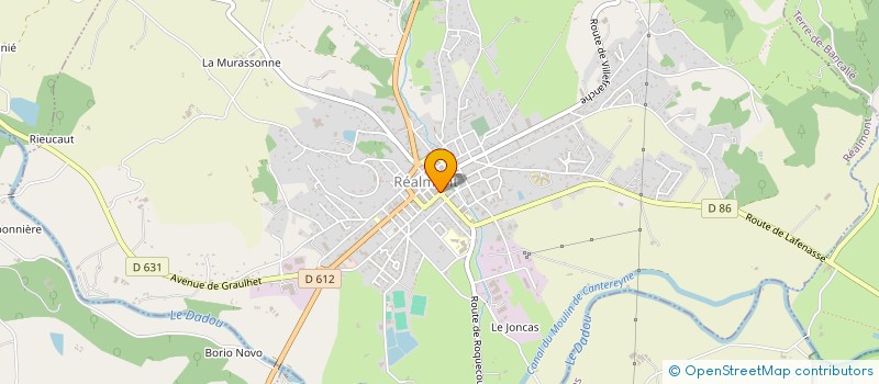 localisation de l'entreprise MONSIEUR BENOIT DAROLLES à REALMONT