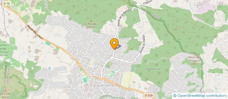 localisation de l'entreprise MONSIEUR BENOIT LAURE  CARQUEIRANNE