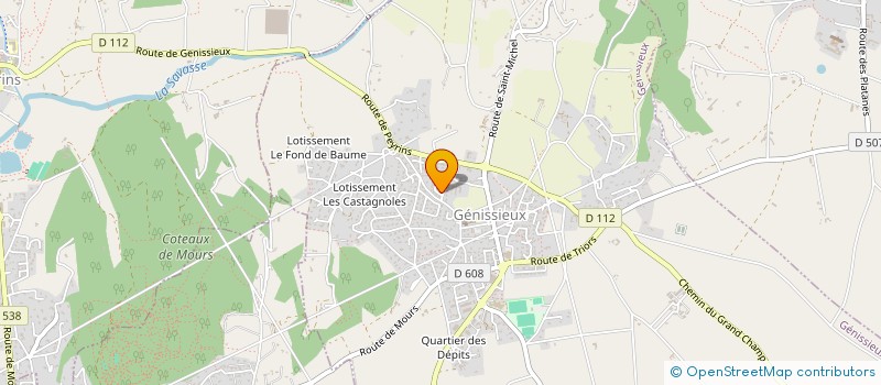 localisation de l'entreprise MONSIEUR BENOIT MULLER  GENISSIEUX