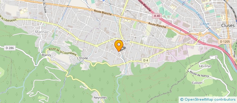 localisation de l'entreprise MONSIEUR BENOIT PERRISSIN-FABERT  SCIONZIER