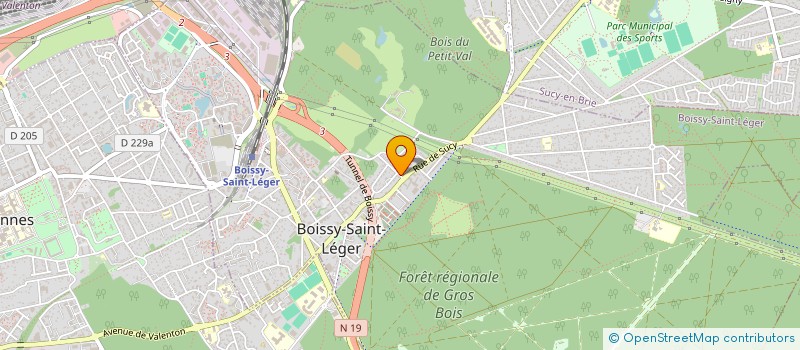localisation de l'entreprise MONSIEUR BENOIT RICHIN à BOISSY-SAINT-LEGER