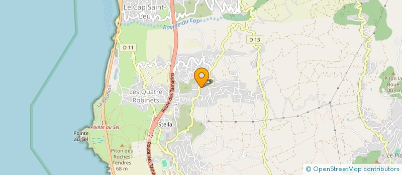 localisation de l'entreprise MONSIEUR BENOIT RIVIERE  SAINT-LEU