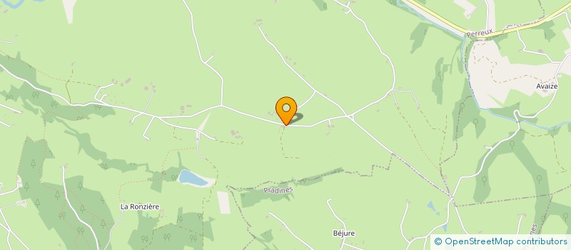 localisation de l'entreprise MONSIEUR BENOIT VIALLA  PERREUX