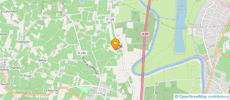 localisation de l'entreprise MONSIEUR BENOIT VIAUD  FRONSAC