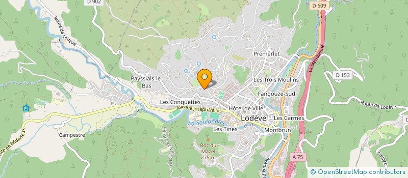 localisation de l'entreprise MONSIEUR BERNARD APPOLIS  LODEVE