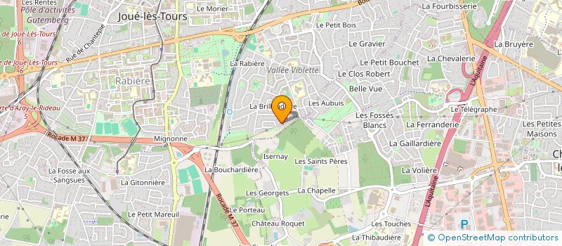 localisation de l'entreprise MONSIEUR BERNARD AUBARD  JOUE-LES-TOURS