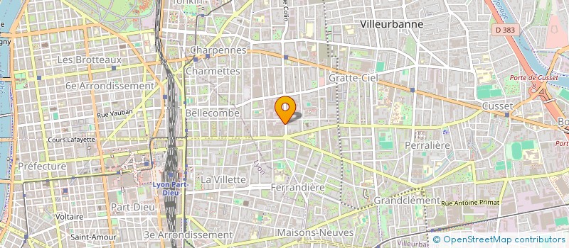 localisation de l'entreprise MONSIEUR BERNARD CANTIN  VILLEURBANNE