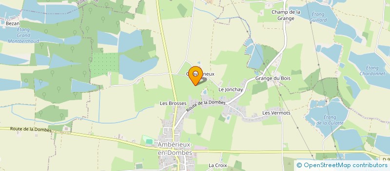 localisation de l'entreprise MONSIEUR BERNARD CARTELLIER  AMBERIEUX-EN-DOMBES