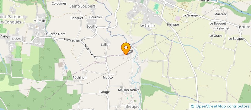 localisation de l'entreprise MONSIEUR BERNARD CHALOUPIN  BIEUJAC