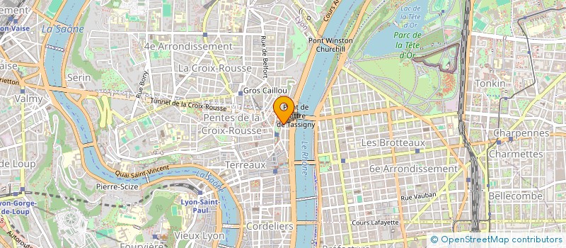 localisation de l'entreprise MONSIEUR BERNARD CHOUVIER à LYON