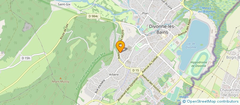 localisation de l'entreprise MONSIEUR BERNARD COURTOIS  DIVONNE-LES-BAINS