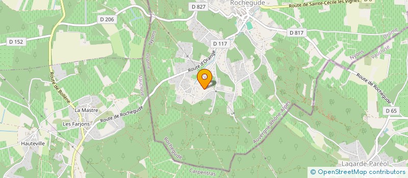 localisation de l'entreprise MONSIEUR BERNARD DAVID  ROCHEGUDE