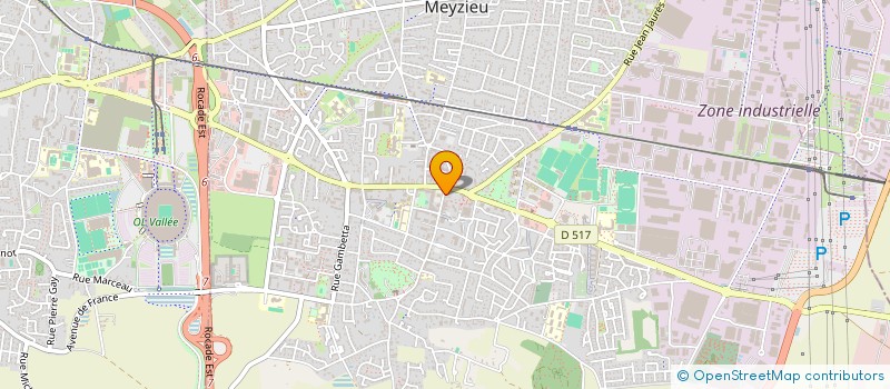 localisation de l'entreprise MONSIEUR BERNARD DENIS  MEYZIEU