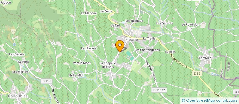 localisation de l'entreprise MONSIEUR BERNARD DEPARDON à FLEURIE