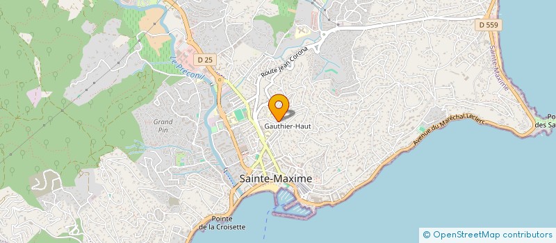 localisation de l'entreprise MONSIEUR BERNARD DORMANN à SAINTE-MAXIME