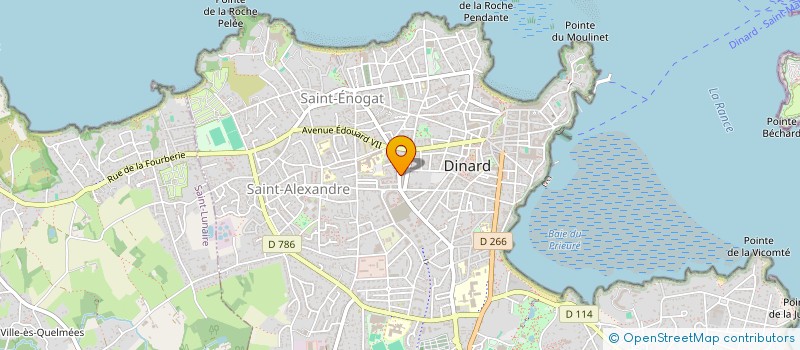 localisation de l'entreprise MONSIEUR BERNARD DUVAL  DINARD