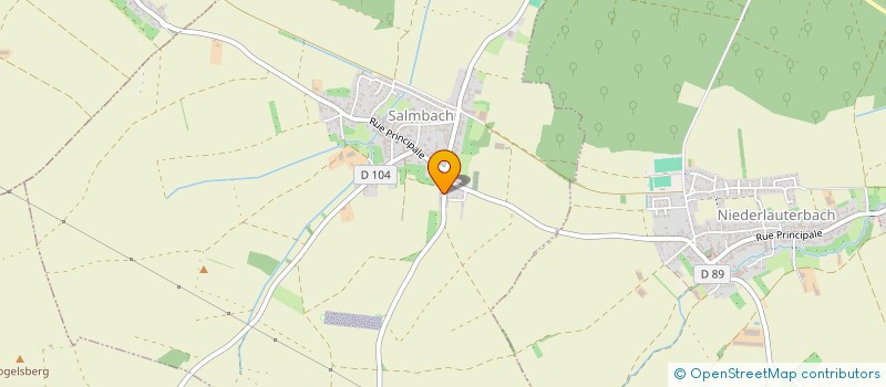 localisation de l'entreprise MONSIEUR BERNARD FORSTER  SALMBACH