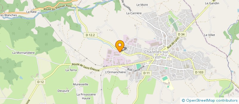localisation de l'entreprise MONSIEUR BERNARD GUILLOT à CHAZELLES-SUR-LYON