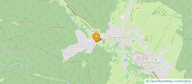 localisation de l'entreprise MONSIEUR BERNARD KURZ  OBERHASLACH