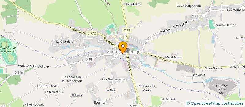 localisation de l'entreprise MONSIEUR BERNARD LE BOURHIS à VAL D'ANAST