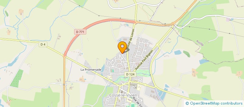 localisation de l'entreprise MONSIEUR BERNARD LEMOINE  COSSE-LE-VIVIEN