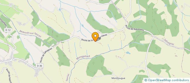 localisation de l'entreprise MONSIEUR BERNARD LUCZAK  MONTGAILLARD