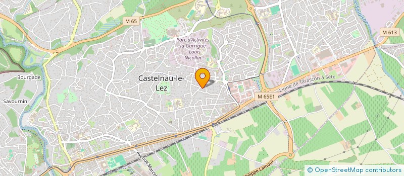 localisation de l'entreprise MONSIEUR BERNARD MAGGIANI à CASTELNAU-LE-LEZ
