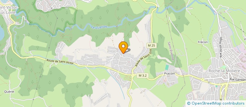 localisation de l'entreprise MONSIEUR BERNARD MALFRAY  SAINT-ETIENNE