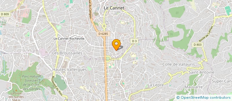 localisation de l'entreprise MONSIEUR BERNARD MANCHON à LE CANNET